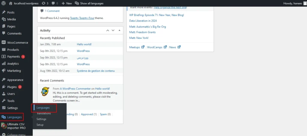 polylang import and export language set up